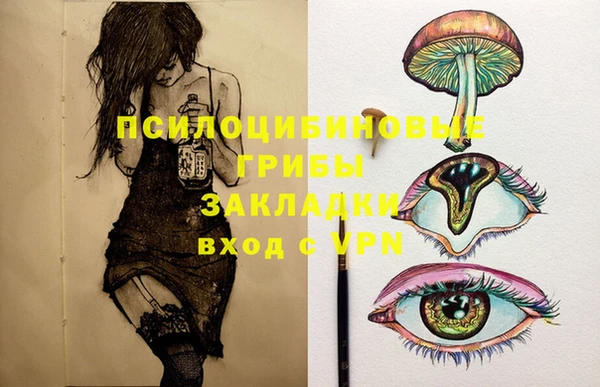 гашик Баксан