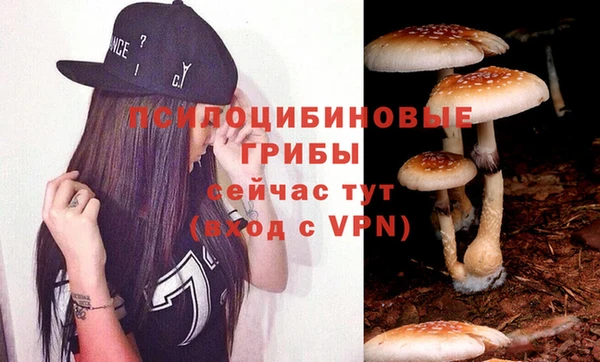 герыч Аркадак