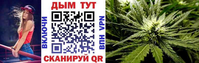 наркошоп  Гурьевск  Шишки марихуана индика 